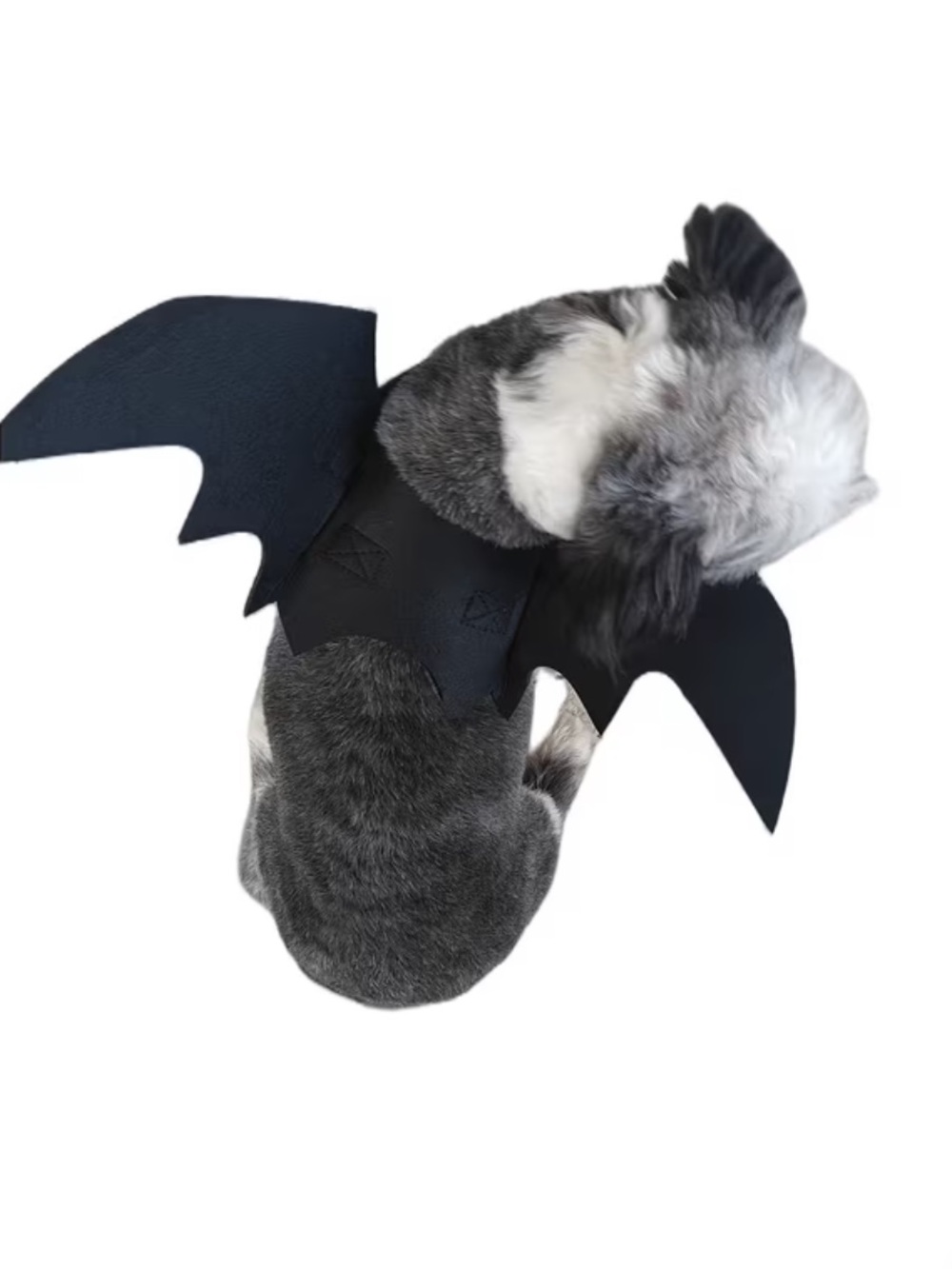 Black Bat Wings Pet Costume Size Small Halloween Cat Dog Costume - Picture 2 of 5